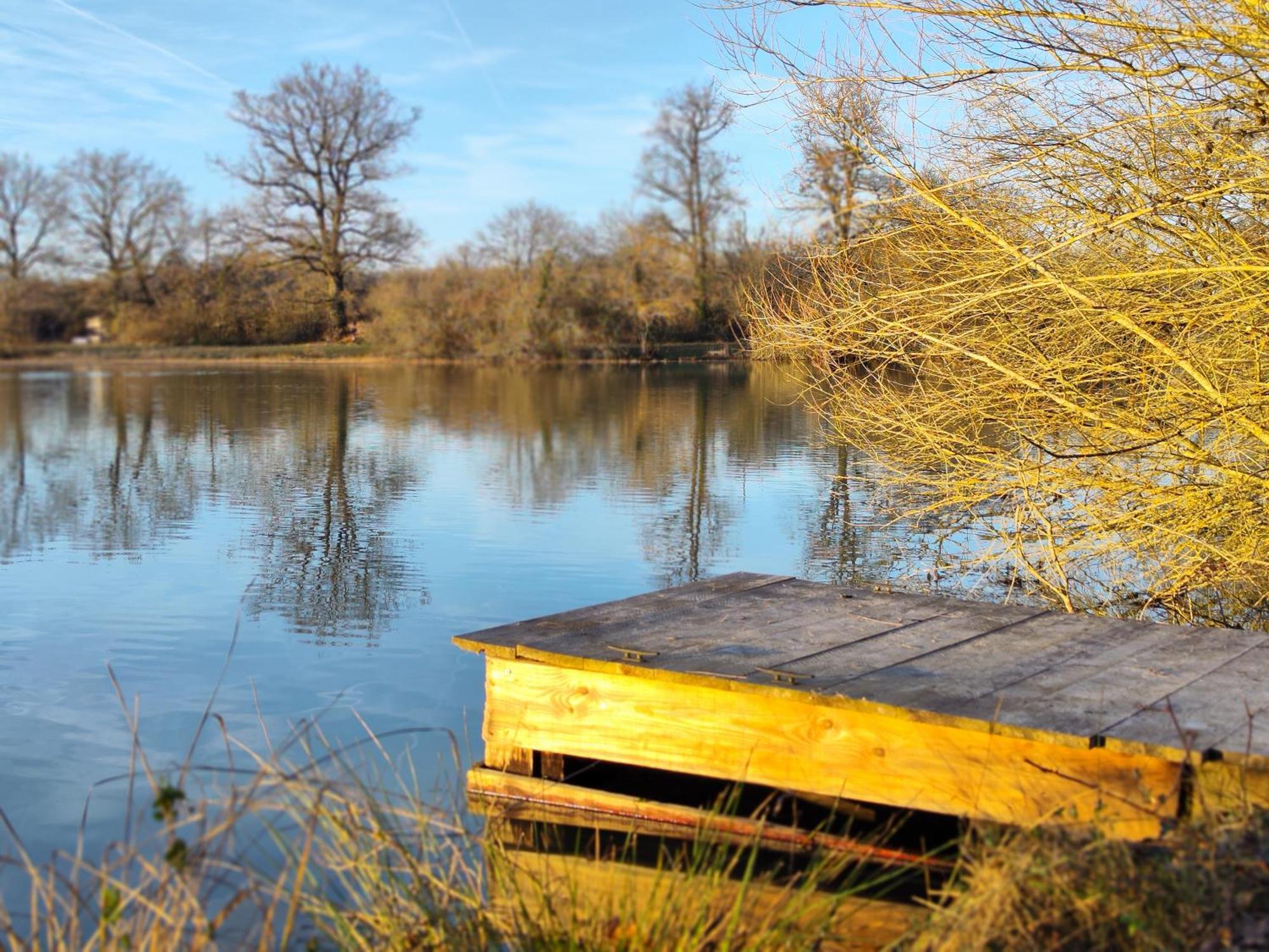 Domaine De La Roseliere • Nature • Brenne Rosnay  Eksteriør billede