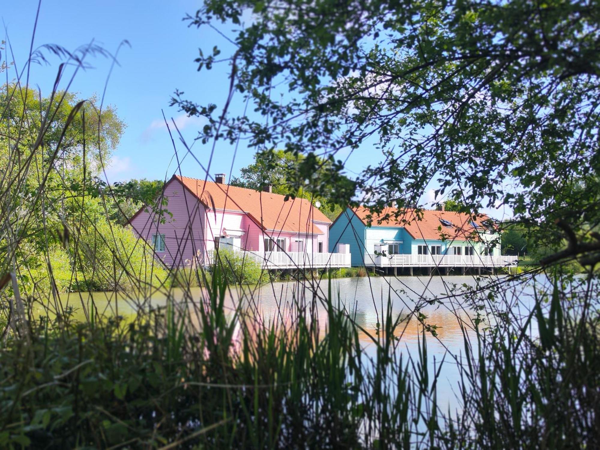 Domaine De La Roseliere • Nature • Brenne Rosnay  Eksteriør billede